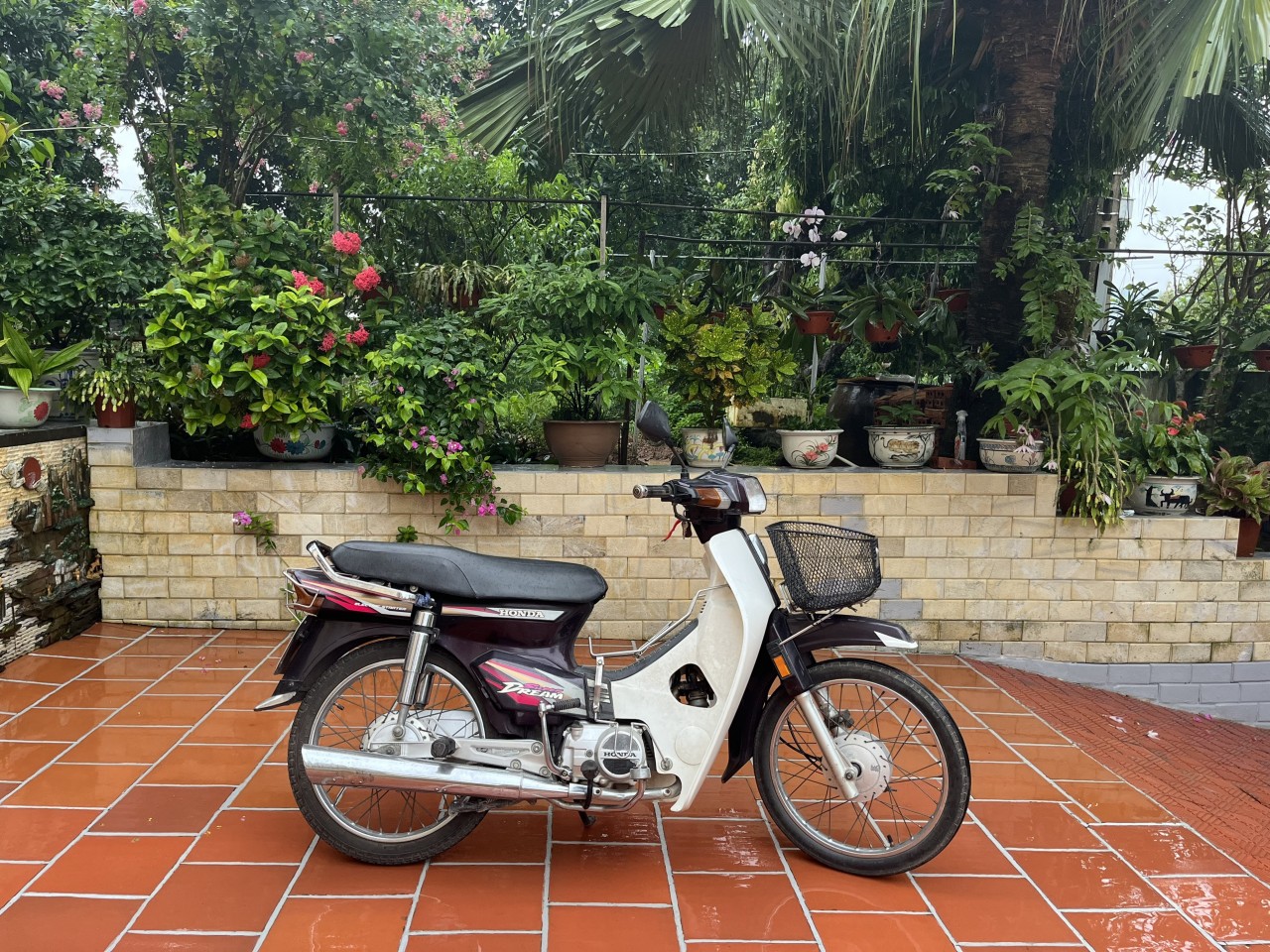 Chủ Honda Super Dream 22 năm tuổi: 'Tôi với xe như hai người bạn tri kỷ' Chủ Honda Super Dream 22 năm tuổi: 'Tôi với xe như hai người bạn tri kỷ'
