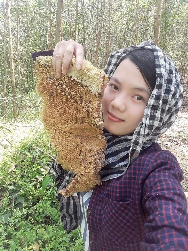 Trái tim thỏ đế Trái tim thỏ đế