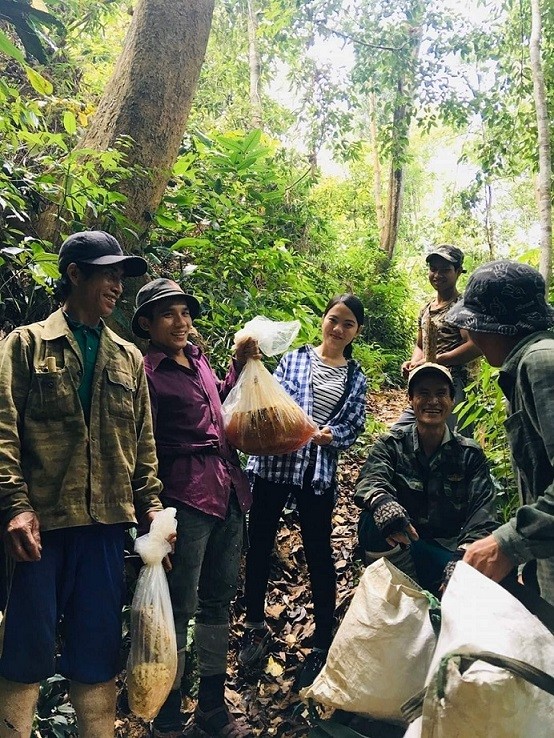 Trái tim thỏ đế Trái tim thỏ đế