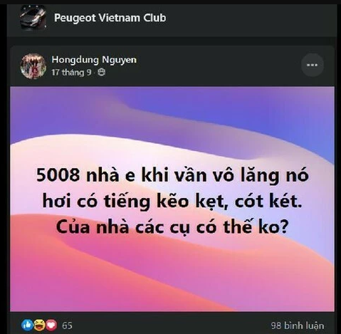 Peugeot 3008/5008 bị tố lỗi thước lái, dột nước khi mưa? peugeot 30085008 bi to loi thuoc lai dot nuoc khi mua
