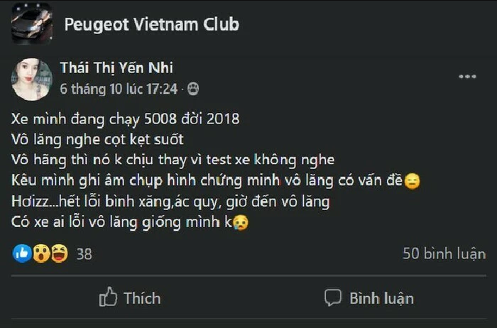 Peugeot 3008/5008 bị tố lỗi thước lái, dột nước khi mưa? peugeot 30085008 bi to loi thuoc lai dot nuoc khi mua