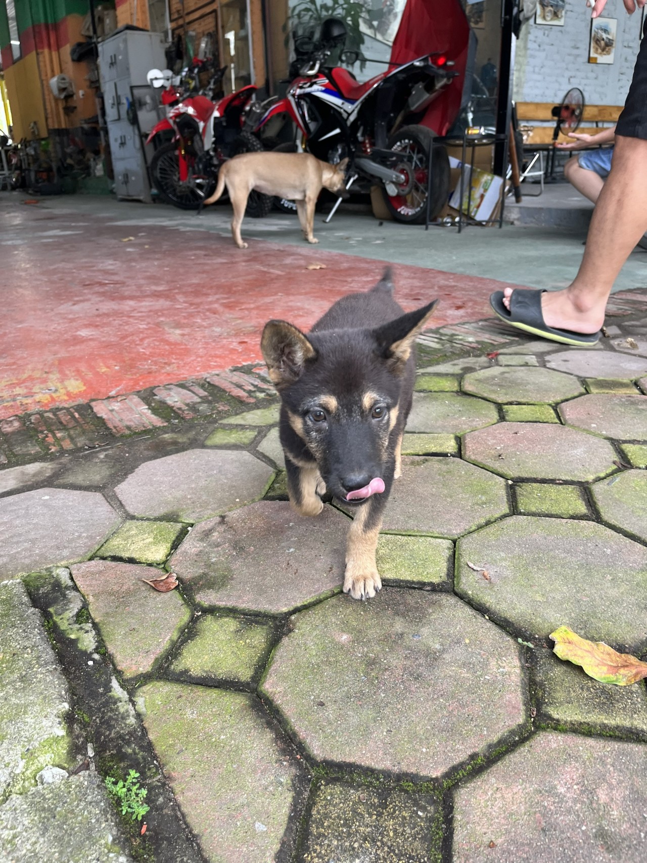 Đinh Bá Trung Đinh Bá Trung