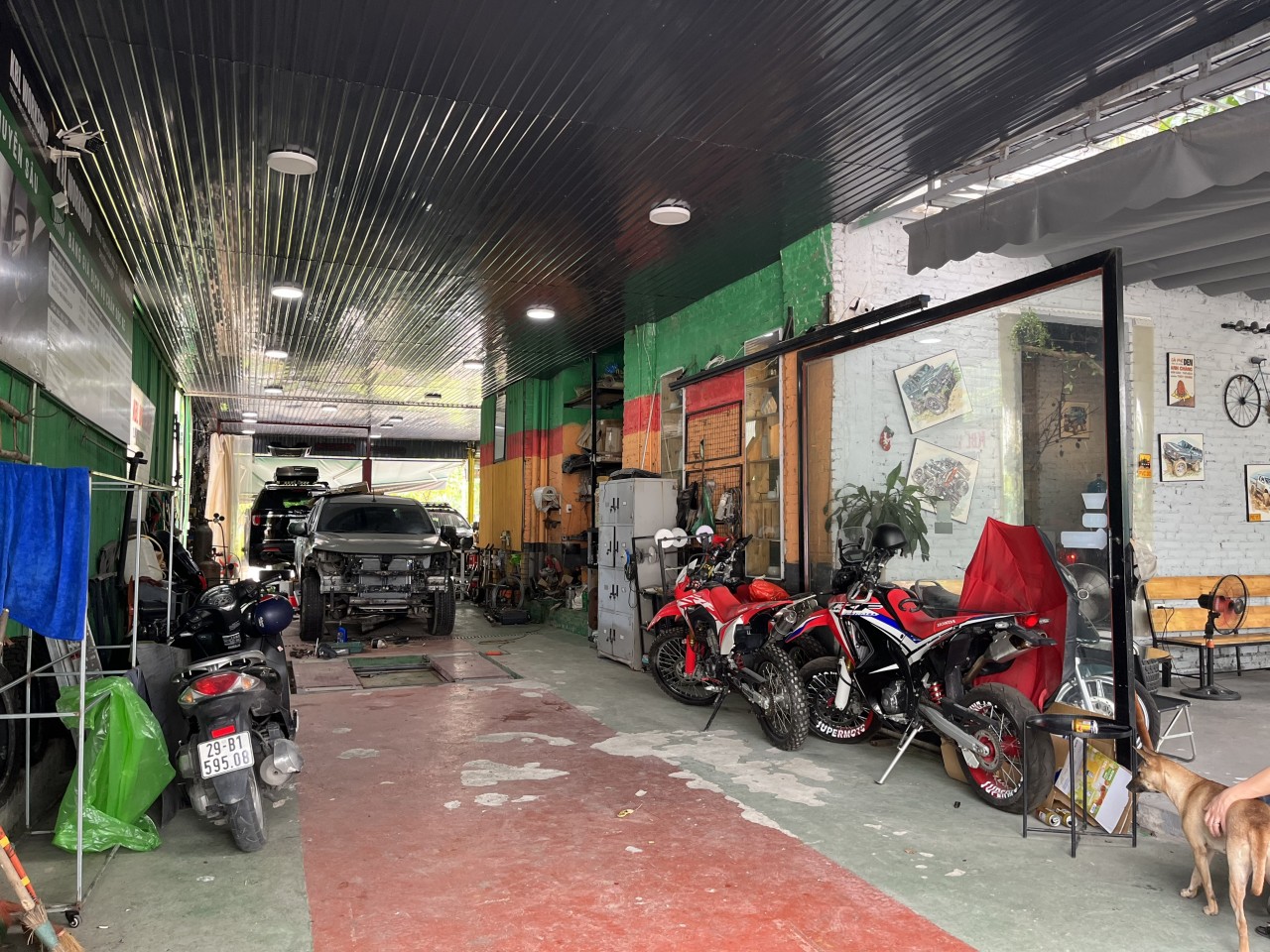 Đinh Bá Trung Đinh Bá Trung