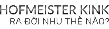 hofmeister kink tren xe bmw dieu khong phai ai cung biet