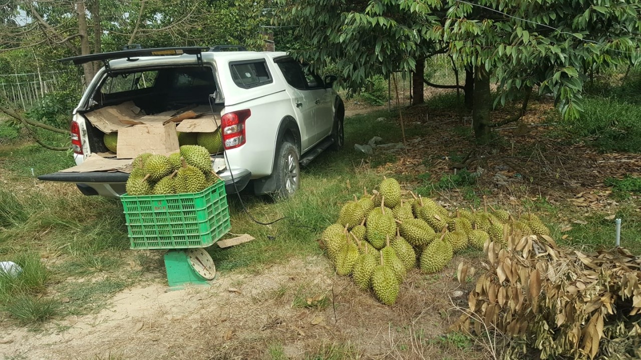 Nhớ lại cái "thuở ban đầu" đi mua xe ấy Nhớ lại cái "thuở ban đầu" đi mua xe ấy