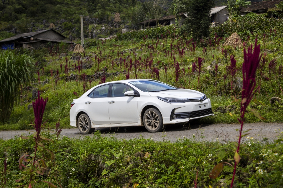 Toyota Việt Nam khẳng định không khai tử mẫu xe Corolla Altis toyota viet nam khang dinh khong khai tu mau xe corolla altis
