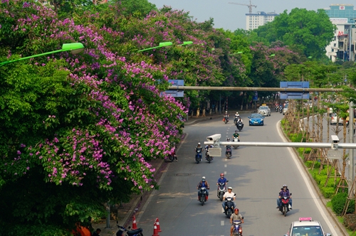 Hà Nội: Cấm ô tô, thu hẹp dải phân cách, vỉa hè đường Kim Mã để làm Metro ha noi cam o to thu hep dai phan cach via he duong kim ma de lam metro