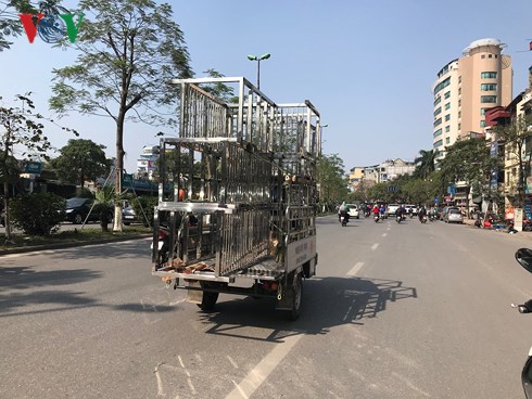Sắp đến giờ G “xóa sổ” xe 3-4 bánh tự chế sap den gio g xoa so xe 3 4 banh tu che