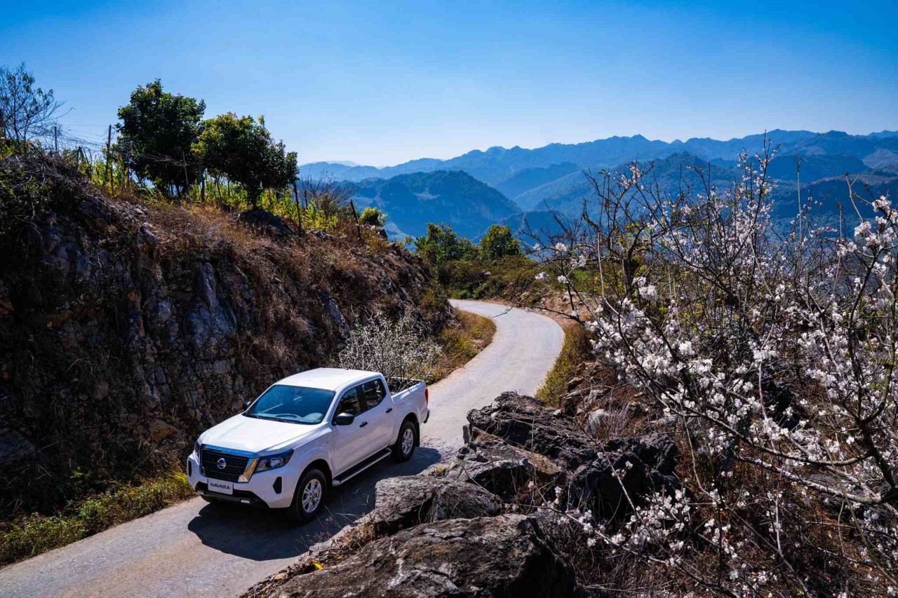 Nissan Navara EL 2WD - Ngôi sao bán tải tầm giá dưới 700 triệu