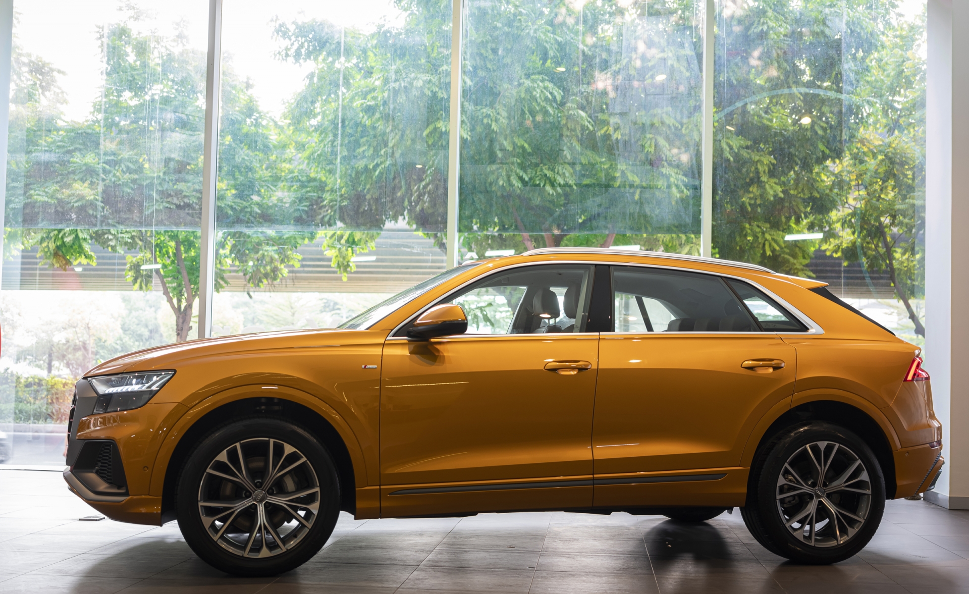 Audi Q8 sẵn sàng đến tay khách hàng