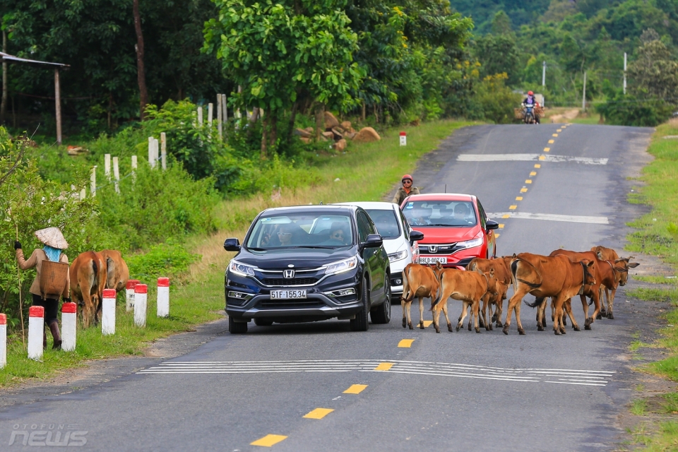 Honda Fuel Challenge 2018: Honda Jazz chỉ tốn 4,5 lít/100 km honda fuel challenge 2018 honda jazz chi ton 45 lit100 km