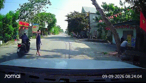 Cưa cây đổ đúng lúc xe máy đi tới, người đi xe máy tử vong