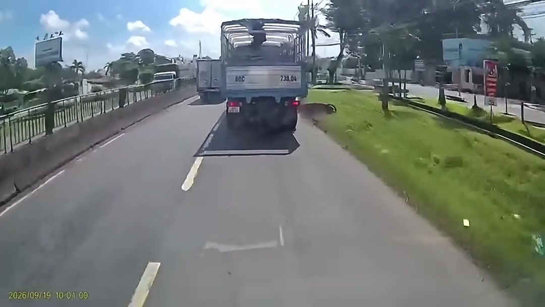 Vụ tai nạn giao thông thương tâm khiến 1 phụ nữ không qua khỏi, xảy ra tại Trảng Bom, Đồng Nai